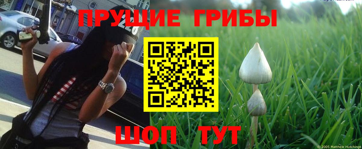 Уссурийск  Псилоцибиновые грибы Psilocybine cubensis  Псилоцибиновые грибы Magic Shrooms  Вход с VPN 